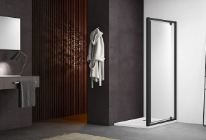 Душевая дверь Aquatek Ария AQ ARI PI 10020BL 100см черный матовый