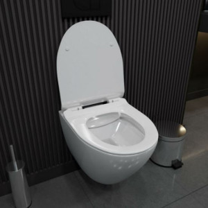 Унитаз подвесной Alicaness Juse P1004 безободковый с сиденьем микролифт