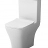 Унитаз-компакт Damixa Titan DX78C8600SC безободковый с микролифтом