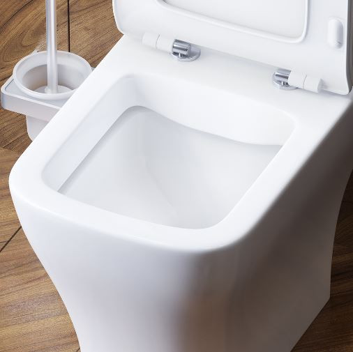 Унитаз-компакт Damixa Titan DX78C8600SC безободковый с микролифтом