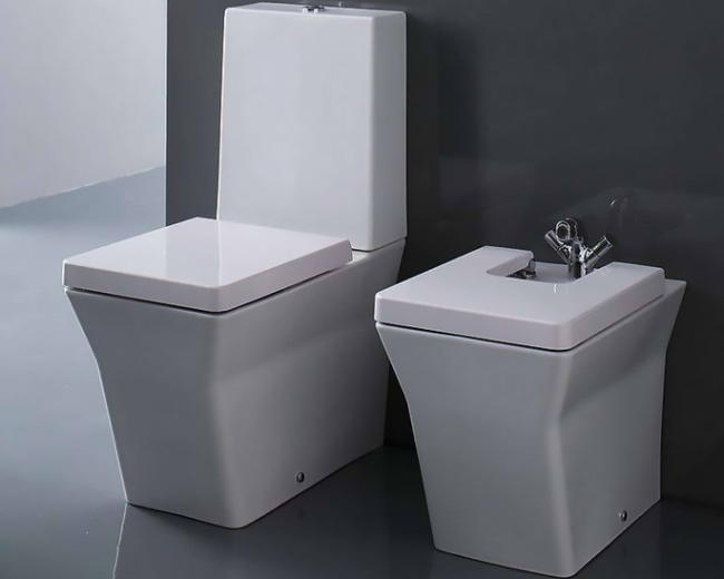 Биде Jacob Delafon Reve E4814