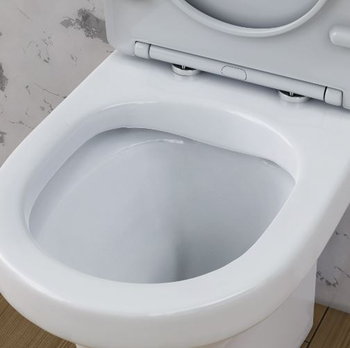 Унитаз-компакт Damixa Skyline DX35C8600SC безободковый с микролифтом