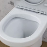 Унитаз-компакт Damixa Skyline DX35C8600SC безободковый с микролифтом