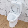 Унитаз-компакт Damixa Skyline DX35C8600SC безободковый с микролифтом
