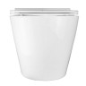Комплект инсталляции Grohe с унитазом Nova безободковый микролифт