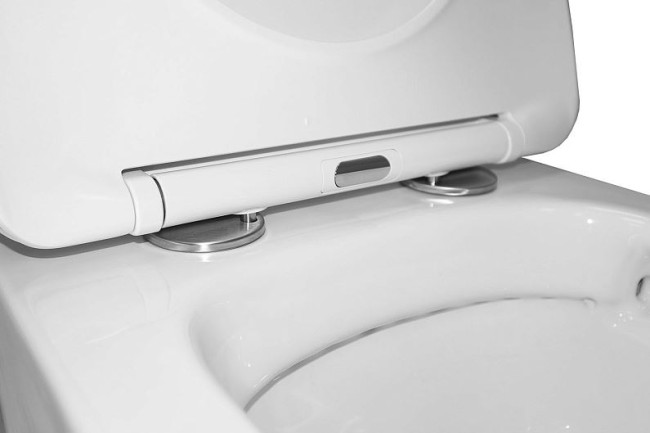 Унитаз подвесной Azario Teramo AZ-0053 SP безободковый с микролифтом