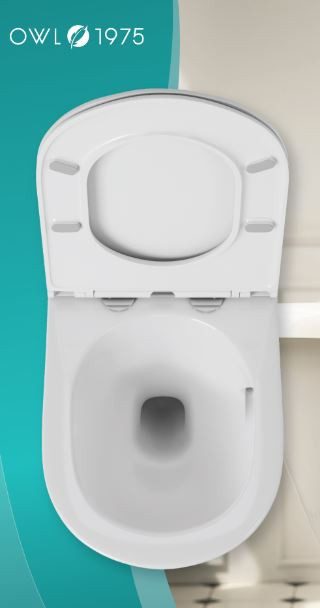 Унитаз подвесной OWL Vind Ruta-H TOWLT190304 безободковый система смыва Торнадо с микролифтом