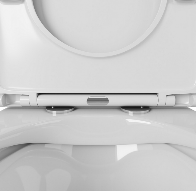 Унитаз подвесной OWL Curve Cirkel-H OWLT190802 безободковый с микролифтом