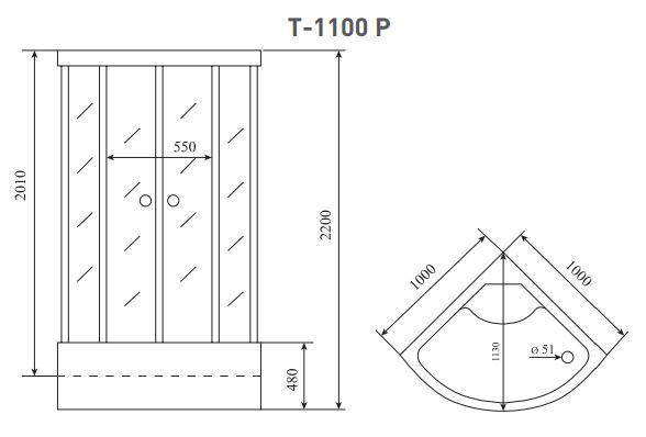 Душевая кабина Timo Standart T-1100 P 100*100
