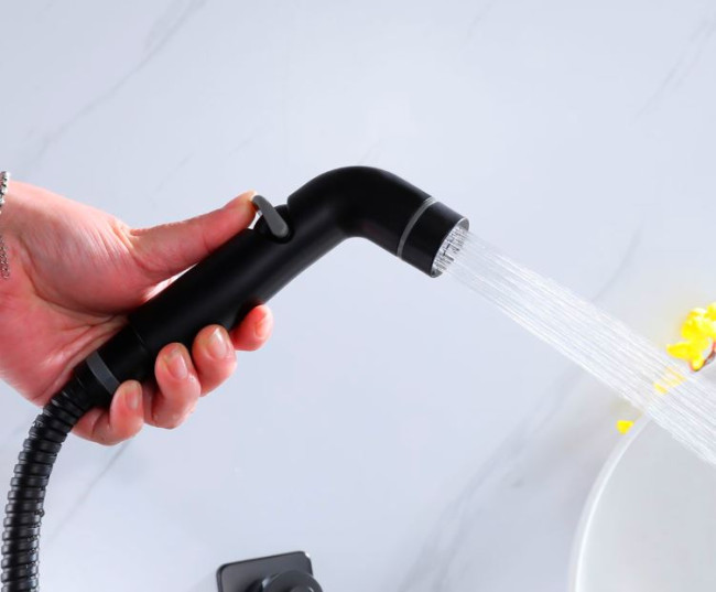 Комплект гигиенического душа Lemark Ursus LM7219BL черный матовый