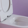 Унитаз подвесной Ceramicanova Uno Rimless CN11001 безободковый с микролифтом