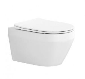 Унитаз подвесной Aquatek Лея AQ1199-00 безободковый с микролифтом