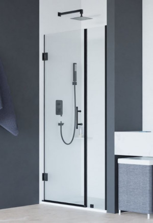 Душевая дверь RGW HO-012B 120 350601212-14 прозрачное