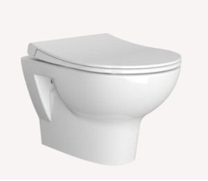 Унитаз подвесной Vitra Zentrum 5795B003-6077 безободковый с сиденьем микролифт