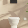 Клавиша смыва VitrA Root Square 740-2311 черная матовая