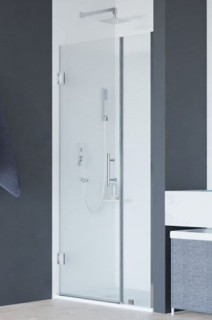 Душевая дверь RGW HO-012 120 350601212-11 прозрачное