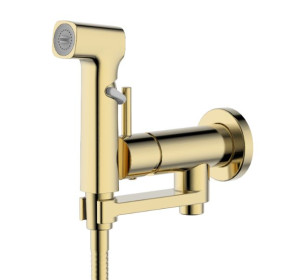 Комплект гигиенического душа Aquatek Ника AQ1819BG золото шлифованное