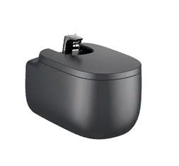 Биде Roca Beyond 3570B6640 Onix подвесное