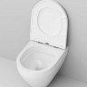 Унитаз подвесной Am.Pm Spirit V2.0 FlashClean C701700SC безободковый с микролифтом