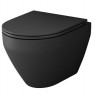 Унитаз подвесной Am.Pm Spirit V2.0 FlashClean C701700MBSC безободковый с микролифтом черный матовый