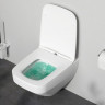 Унитаз подвесной Am.Pm Inspire V2.0 FlashClean C50A1700MWSC безободковый с микролифтом белый матовый