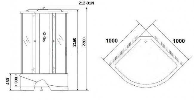 Душевая кабина Niagara NG-212-01N 100*100