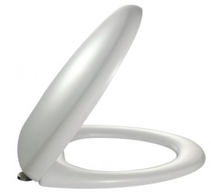 Сиденье для унитаза Jacob Delafon Presqu'ile E70016-00