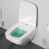 Унитаз подвесной Am.Pm Inspire V2.0 FlashClean C50A1700SC безободковый с микролифтом