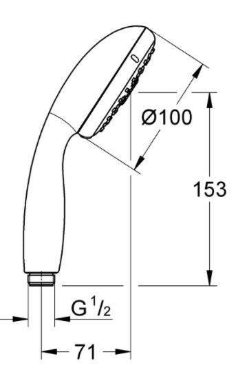 Душевая лейка Grohe Tempesta 100 28578002