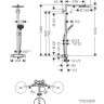 Душевая система Hansgrohe Raindance Select S Showerpipe 240 1jet PowderRain 27633140 с термостатом бронза