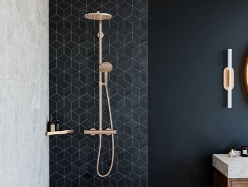 Душевая система Hansgrohe Raindance Select S Showerpipe 240 1jet PowderRain 27633140 с термостатом бронза