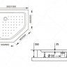 Душевой поддон трапеция RGW LUX/TN-TR литой экран 900x900 16180599-41
