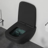 Унитаз подвесной Am.Pm Inspire V2.0 FlashClean C50A1700MBSC безободковый с микролифтом черный матовый