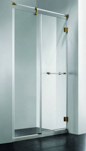 Душевая дверь RGW VI-01 110 02040111-18 прозрачное