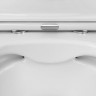 Унитаз подвесной Am.Pm Awe FlashClean C111700SC безободковый с микролифтом
