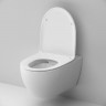 Унитаз подвесной Am.Pm Awe FlashClean C111700SC безободковый с микролифтом