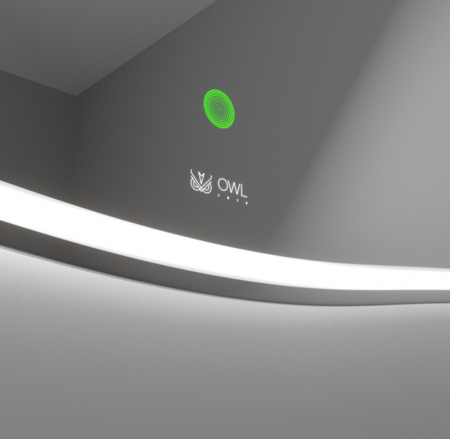 Зеркало OWL Roxen OWLM200100 65*74,5