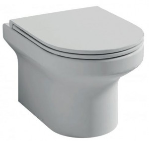 Унитаз подвесной Jacob Delafon Elite EDX114RU-00 безободковый