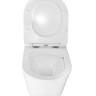 Унитаз подвесной Azario Atrio AZ-2330 безободковый с микролифтом