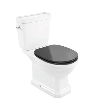 Сиденье для унитаза Roca Carmen 801B5238B Soft Close темно-серое