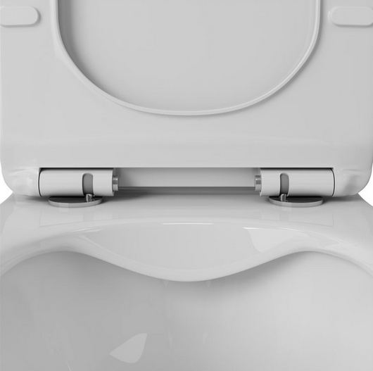 Унитаз напольный безободковый OWL Eter Cirkel-G OWLT190202  с микролифтом