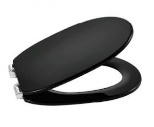 Сиденье для унитаза Roca Carmen 801B5256B Soft Close черное