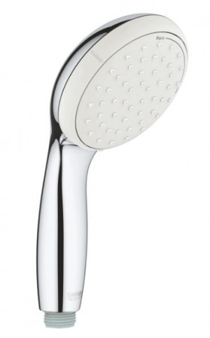 Душевая лейка Grohe Tempesta 100 27597001