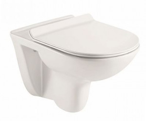 Унитаз подвесной Azario Pavia AZ-2142 безободковый с микролифтом