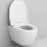 Сиденье для унитаза Am.Pm C117852WH с микролифтом