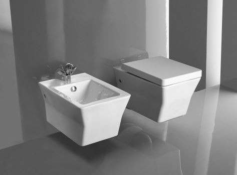 Унитаз подвесной Jacob Delafon Reve E4811-00