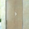 Душевая дверь RGW LE-08 120 06120812-11 прозрачное