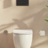 Система инсталляции VitrA Core 800-1874 для унитаза с кнопкой смыва Root R 740-2211 черный матовый