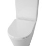 Унитаз напольный с бачком Maretti Florenza FL10NBM17-844 безободковый с микролифтом