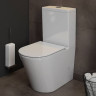 Унитаз напольный с бачком Maretti Florenza FL10NBM17-844 безободковый с микролифтом